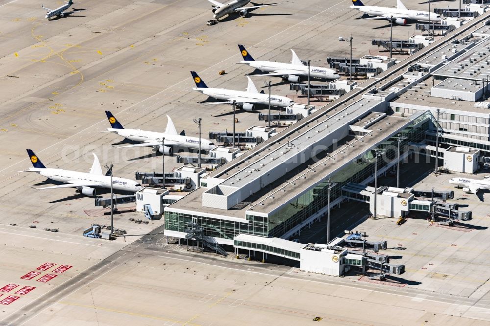 München-Flughafen from the bird's eye view: Dispatch building and terminals on the premises of the airport in Muenchen-Flughafen in the state Bavaria, Germany