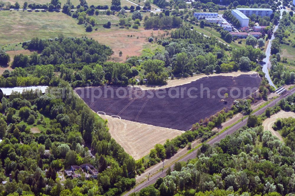 Berlin from above - Burnt grain field in the district of Wartenberg in Berlin, Germany