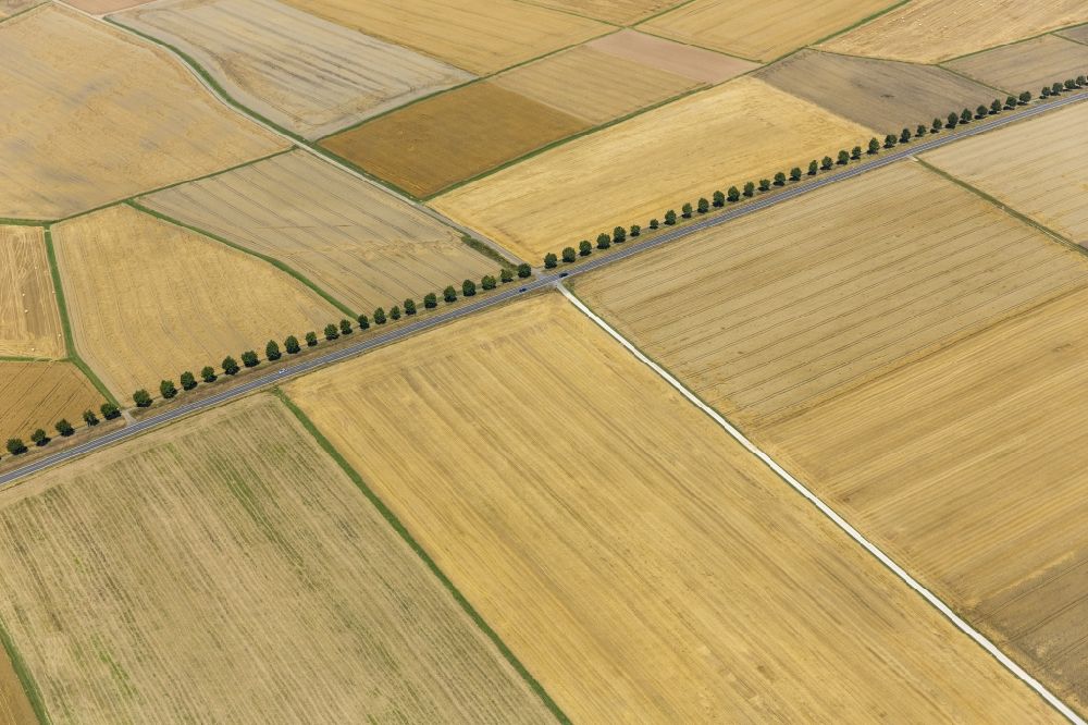 Holzheim from the bird's eye view: Field structures of a harvested grain field in Holzheim in the state Rhineland-Palatinate