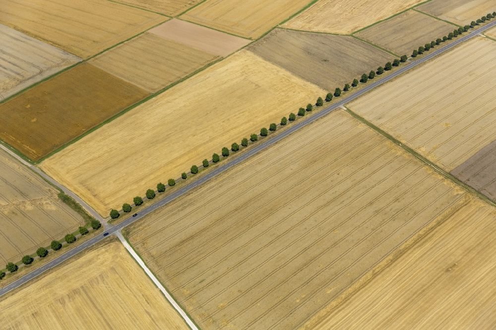 Aerial photograph Holzheim - Field structures of a harvested grain field in Holzheim in the state Rhineland-Palatinate