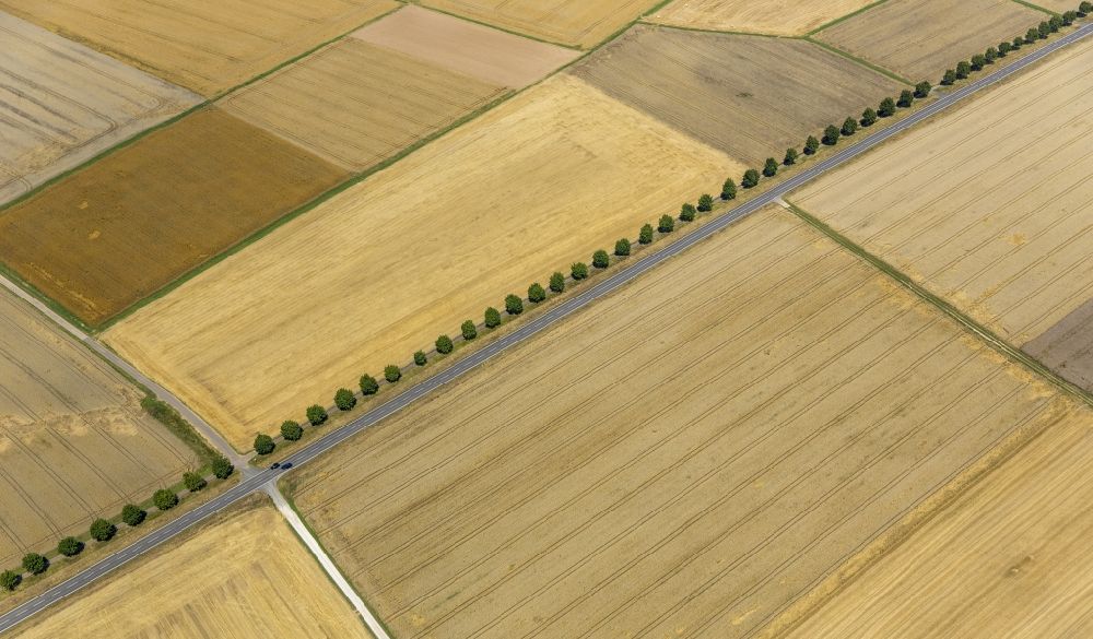 Holzheim from above - Field structures of a harvested grain field in Holzheim in the state Rhineland-Palatinate