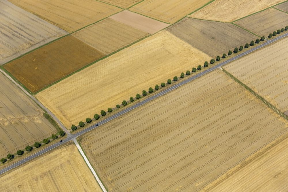 Holzheim from the bird's eye view: Field structures of a harvested grain field in Holzheim in the state Rhineland-Palatinate