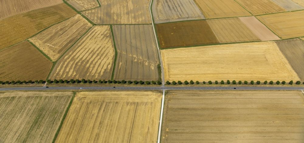 Aerial image Holzheim - Field structures of a harvested grain field in Holzheim in the state Rhineland-Palatinate
