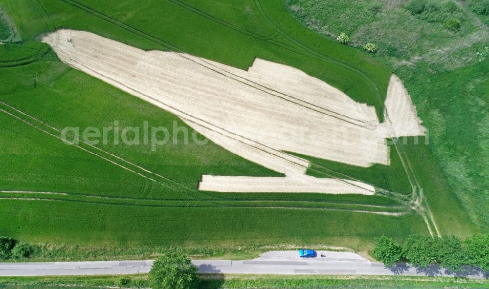 Aerial photograph Kamin - Field structures of a harvested grain field in Kamin in the state Mecklenburg - Western Pomerania, Germany