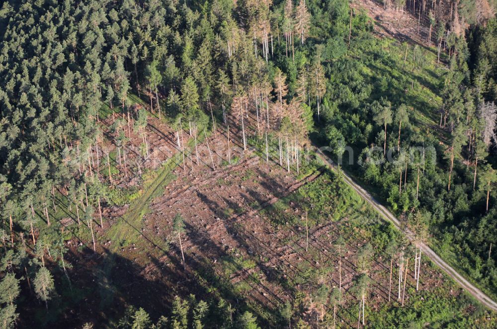 Aerial image Angelroda - Tree dying and forest dying with skeletons of dead trees in the remnants of a forest area in Angelroda in the state Thuringia, Germany
