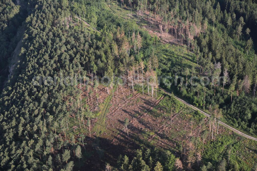 Aerial photograph Angelroda - Tree dying and forest dying with skeletons of dead trees in the remnants of a forest area in Angelroda in the state Thuringia, Germany