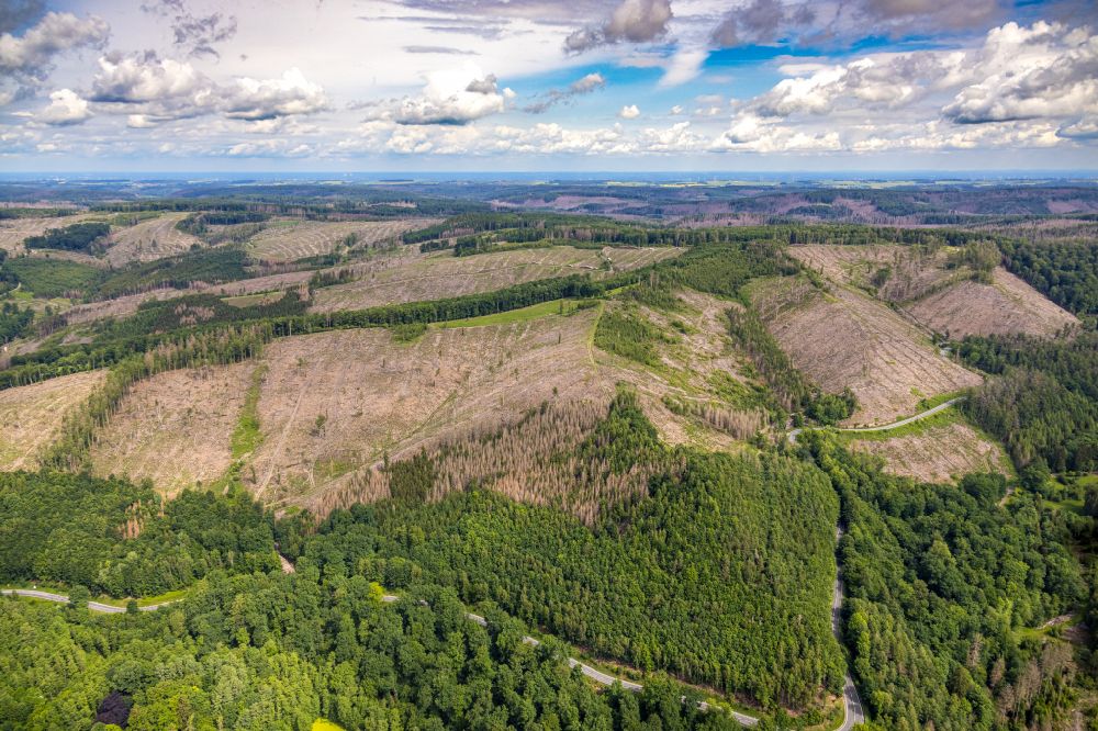 Aerial image Arnsberg - Tree dying and forest dying with skeletons of dead trees in the remnants of a forest area in Arnsberg at Sauerland in the state North Rhine-Westphalia, Germany