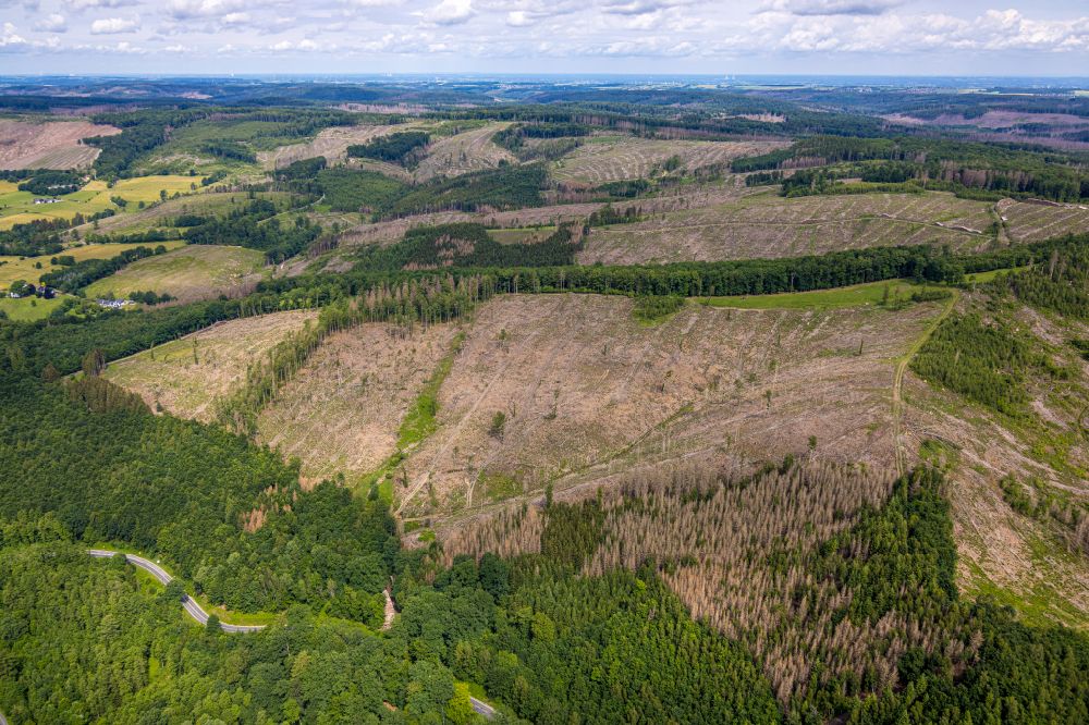 Aerial photograph Arnsberg - Tree dying and forest dying with skeletons of dead trees in the remnants of a forest area in Arnsberg at Sauerland in the state North Rhine-Westphalia, Germany