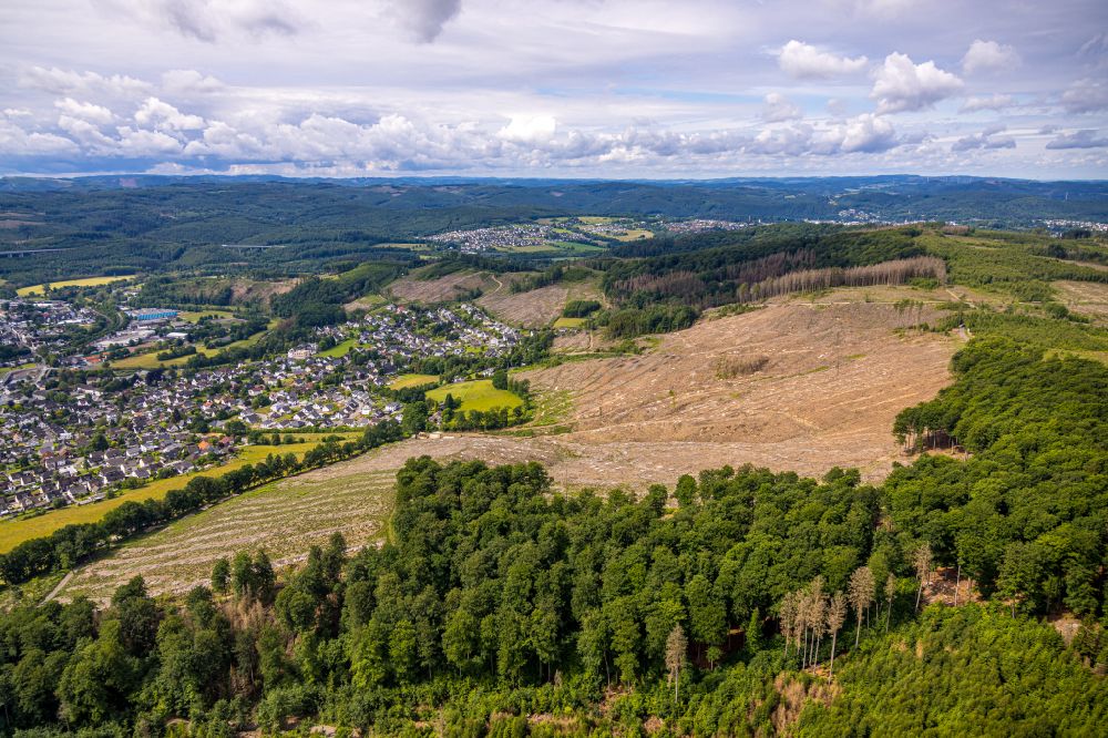 Arnsberg from above - Tree dying and forest dying with skeletons of dead trees in the remnants of a forest area in Arnsberg at Sauerland in the state North Rhine-Westphalia, Germany