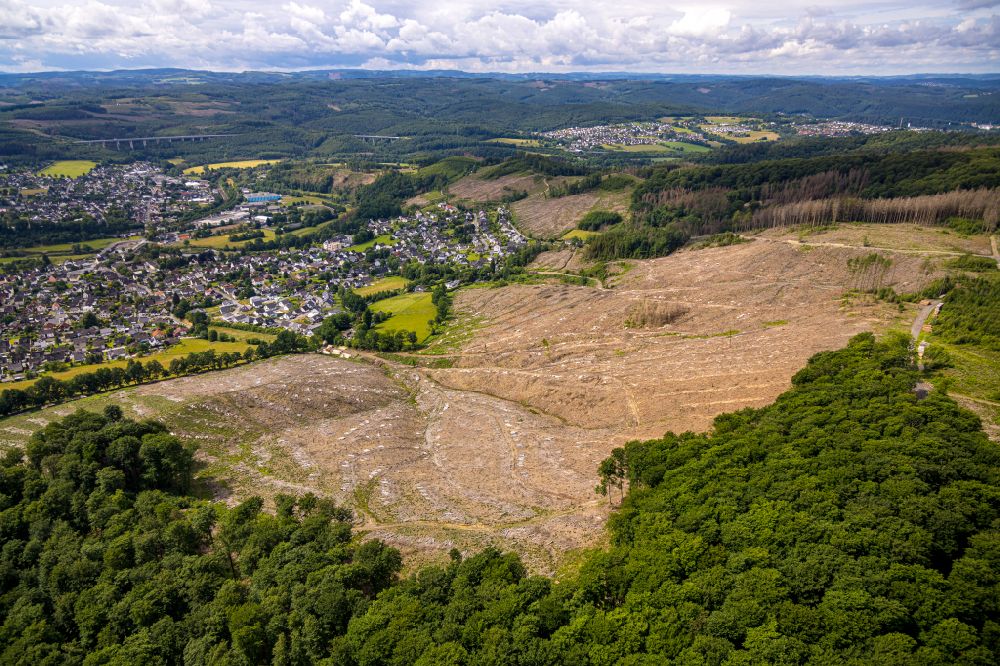 Arnsberg from the bird's eye view: Tree dying and forest dying with skeletons of dead trees in the remnants of a forest area in Arnsberg at Sauerland in the state North Rhine-Westphalia, Germany