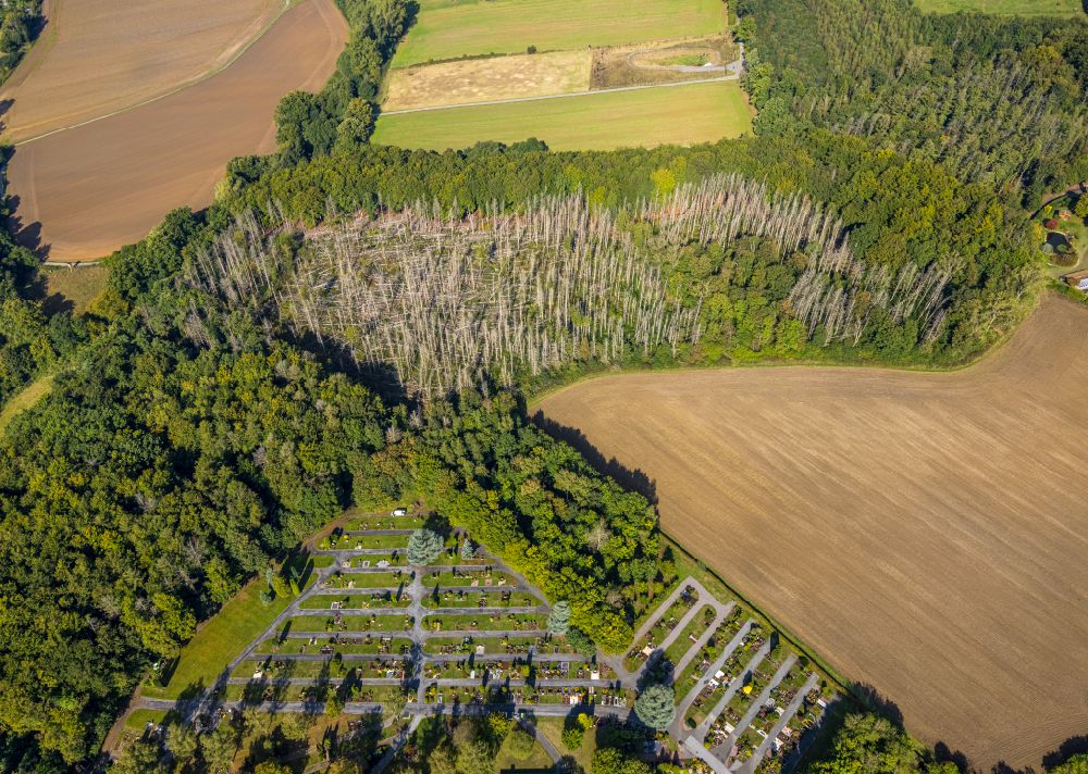 Aerial image Fröndenberg/Ruhr - Tree dying and forest dying with skeletons of dead trees in the remnants of a forest area in Froendenberg/Ruhr in the state North Rhine-Westphalia, Germany
