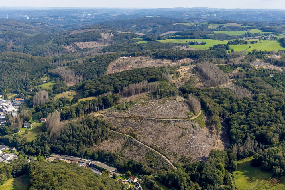 Aerial image Hasperbach - Tree dying and forest dying with skeletons of dead trees in the remnants of a forest area in Hasperbach at Ruhrgebiet in the state North Rhine-Westphalia, Germany