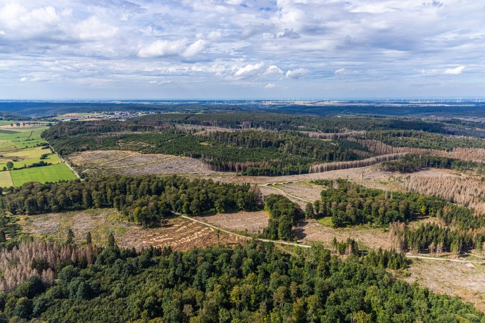 Hemmecker Bruch from the bird's eye view: Tree dying and forest dying with skeletons of dead trees in the remnants of a forest area in Hemmecker Bruch in the state North Rhine-Westphalia, Germany