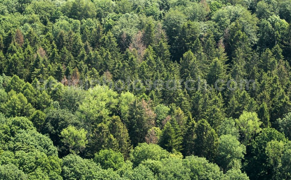 Aerial image Marolterode - Tree dying and forest dying with skeletons of dead trees because of bark beetle infestation in the remnants of a forest area in Marolterode in the state Thuringia, Germany