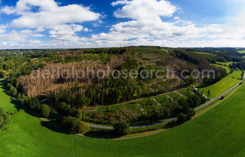 Odenthal from the bird's eye view: tree dying and forest dying with skeletons of dead trees in the remnants of a forest area in the district Voiswinkel in Odenthal in the state North Rhine-Westphalia, Germany