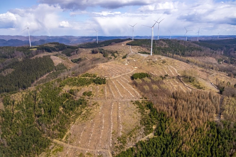 Bad Laasphe from above - Tree dying and forest dying with skeletons of dead trees in the remnants of a forest area with wind turbines in the district Banfe in Bad Laasphe on Siegerland in the state North Rhine-Westphalia, Germany