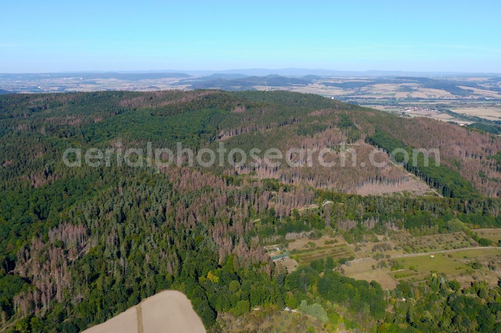 Witzenhausen from the bird's eye view: Tree dying and forest dying with skeletons of dead trees in the remnants of a forest area in Witzenhausen in the state Hesse, Germany