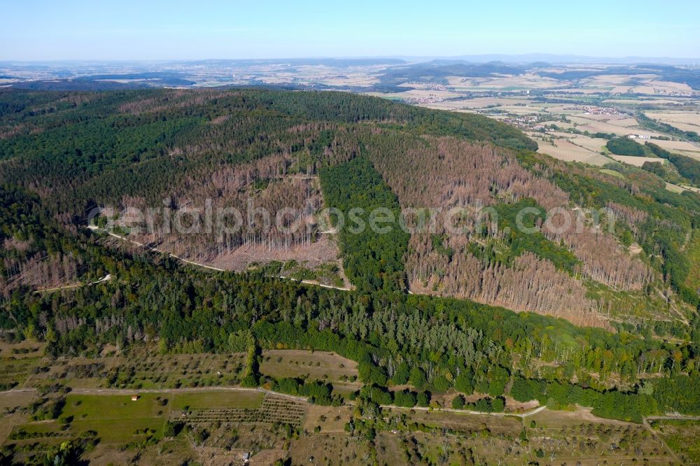 Aerial image Witzenhausen - Tree dying and forest dying with skeletons of dead trees in the remnants of a forest area in Witzenhausen in the state Hesse, Germany