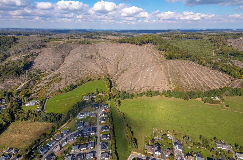 Arnsberg from above - Tree dying and forest dying with skeletons of dead trees and a bare area of a cleared forest stand in the remnants of a forest area in Arnsberg at Sauerland in the state North Rhine-Westphalia, Germany