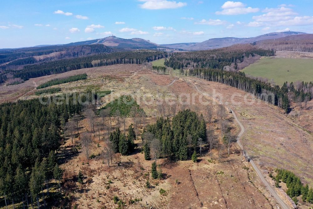Aerial image Elend - Tree dying and forest dying with skeletons of dead trees in the remnants of a forest area in Elend in the Harz in the state Saxony-Anhalt, Germany