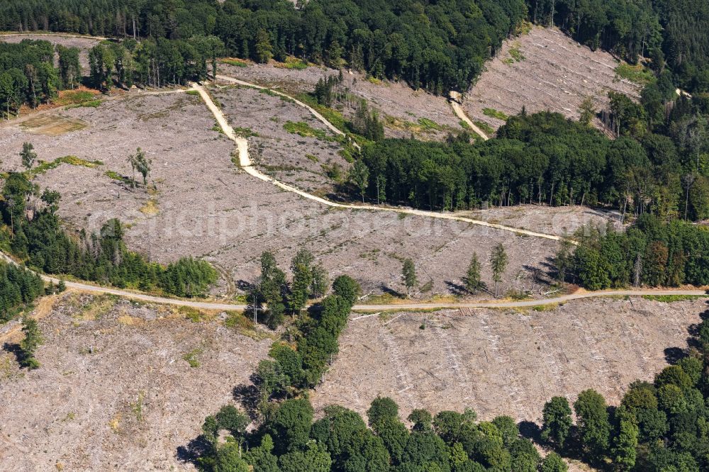 Engelskirchen from above - Tree dying and forest dying with skeletons of dead trees in the remnants of a forest area in Engelskirchen in the state North Rhine-Westphalia, Germany