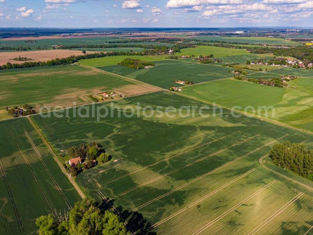 Aerial photograph Küstriner Vorland - Field with sichtbarem ehemaligen Bachverlauf Auswaschung in Kuestriner Vorland in the state Brandenburg, Germany