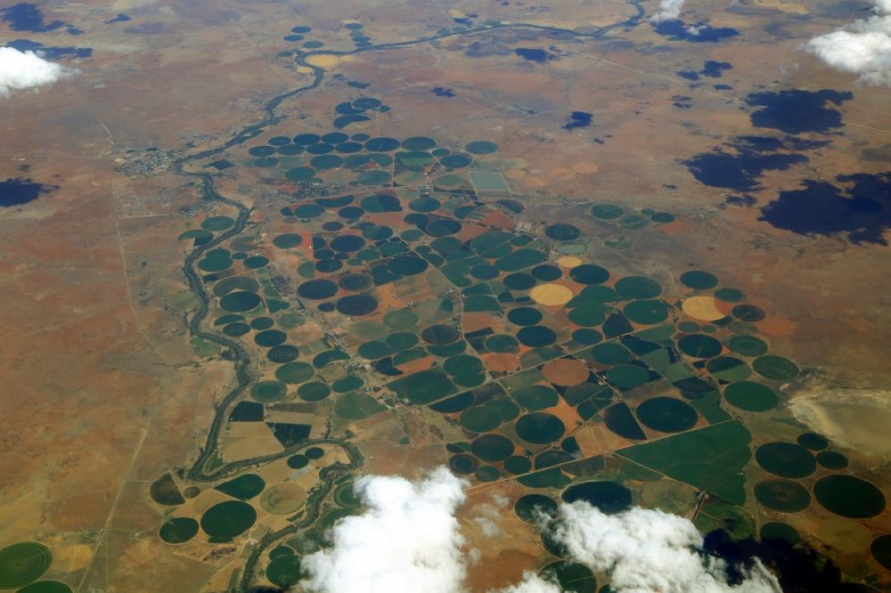 Aerial photograph Rietrivier - Agricultural landscape at the Riet river course in Rietrivier in Jakobsdal in Free State, South Africa