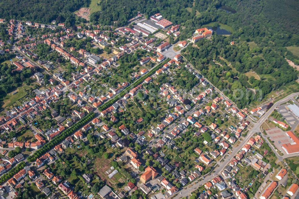 Ballenstedt from the bird's eye view: Avenue to the castle in Ballenstedt in the state Saxony-Anhalt, Germany