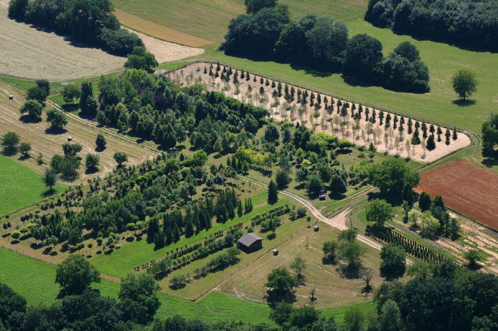 Aerial photograph Wehr - Row of trees on fields of a tree nursery in the Black Forest in Wehr in the state Baden-Wurttemberg, Germany
