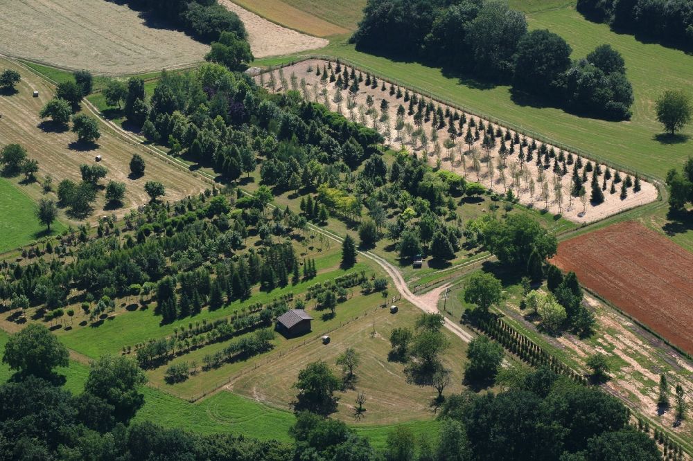 Wehr from above - Row of trees on fields of a tree nursery in the Black Forest in Wehr in the state Baden-Wurttemberg, Germany