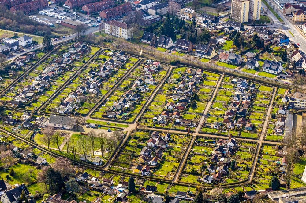 Herne from above - Allotments gardens plots of the association - the garden colony of Kleingaertner Verein Herne Sued e.V. on Strasse des Bohrhonmers - Am Schrebergarten in Herne in the state North Rhine-Westphalia, Germany