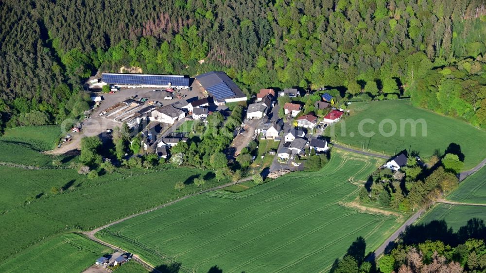 Aerial photograph Eulenberg - View of the village Eulenberg in the state Rhineland-Palatinate, Germany