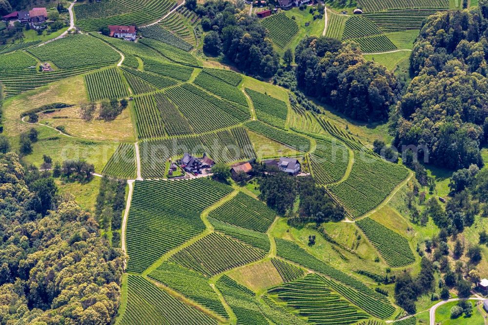 Sasbachwalden from above - Village - view on the edge of vineyards and wineries in Sasbachwalden in the state Baden-Wuerttemberg, Germany
