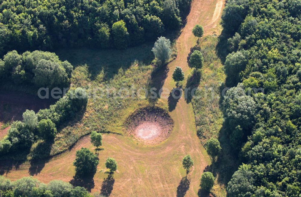 Aerial photograph Boilstädt - Archaeological uncovering, viewing and conservation work in the upper layers of the earth in a circular funnel on street Kirchstrasse in Boilstaedt in the state Thuringia, Germany