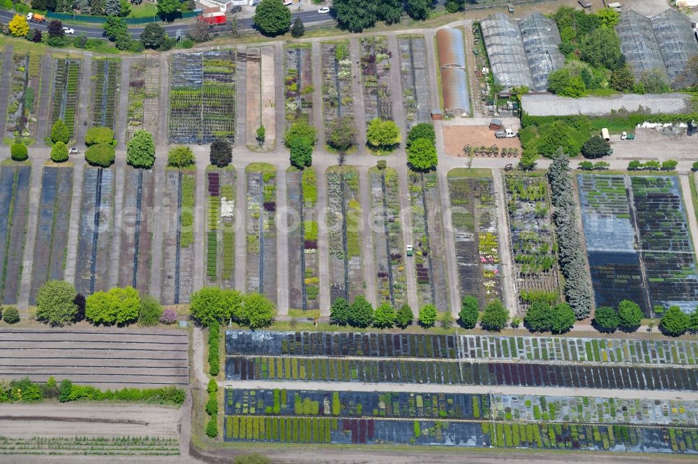 Aerial photograph Berlin - Area of a??a??the plant market Spaeth'sche Baumschule on Spaethstrasse in Berlin