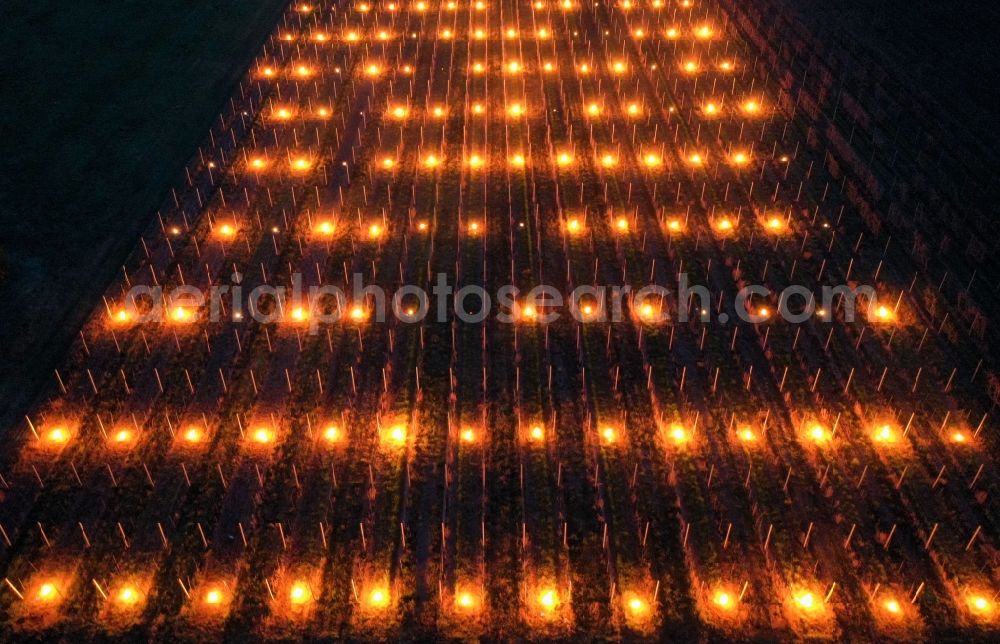 Aerial photograph at night Weinböhla - Night lighting fields of wine cultivation landscape in Weinboehla in the state Saxony, Germany