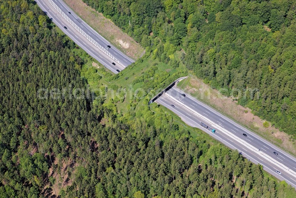 Rammenau from above - Highway bridge structure applied as a wildlife crossing bridge Wild - Wild swap the BAB A4 in Burkau in the state Saxony, Germany