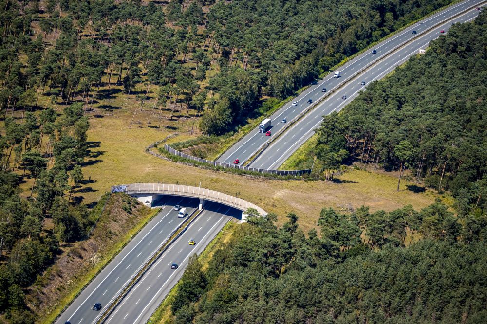 Schermbeck from the bird's eye view: Highway bridge structure applied as a wildlife crossing bridge Wild - Wild swap the BAB A ueber of A31 in Schermbeck in the state North Rhine-Westphalia, Germany