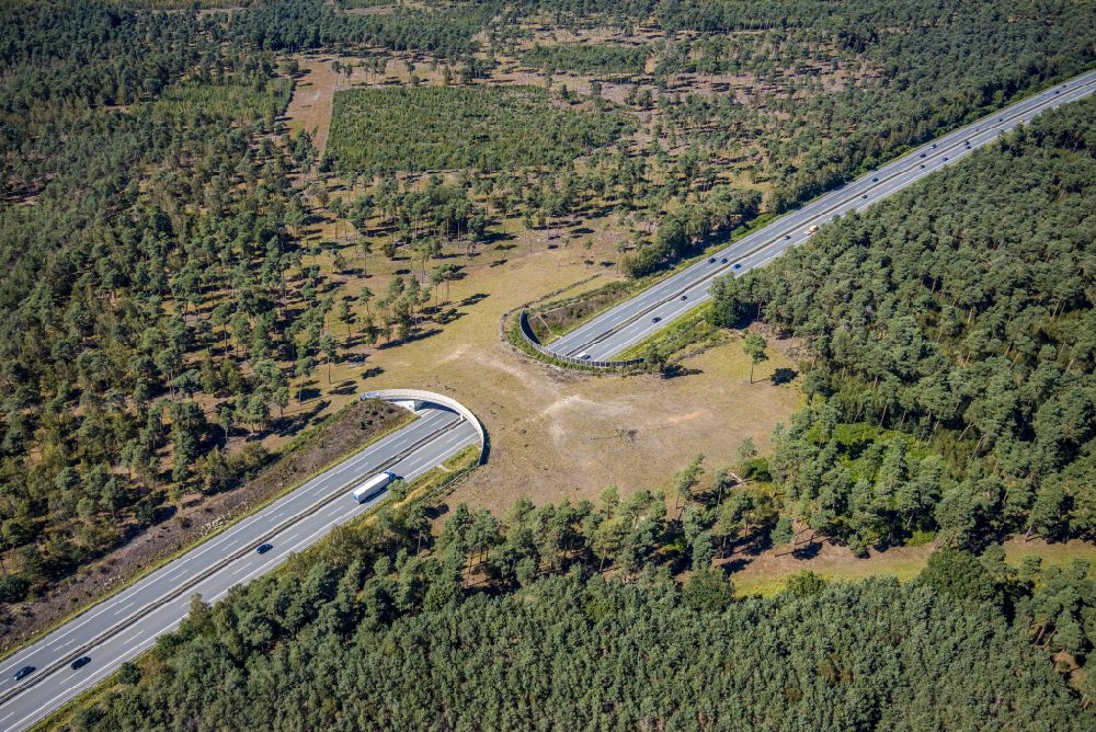 Aerial image Schermbeck - Highway bridge structure applied as a wildlife crossing bridge Wild - Wild swap the BAB A ueber of A31 in Schermbeck in the state North Rhine-Westphalia, Germany