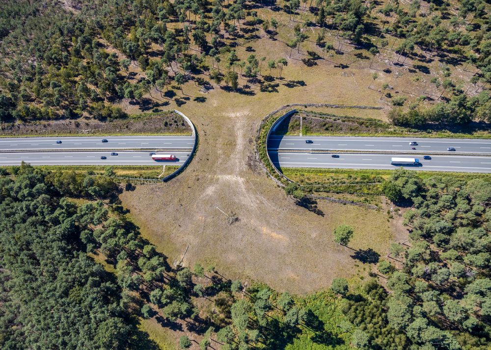 Aerial photograph Schermbeck - Highway bridge structure applied as a wildlife crossing bridge Wild - Wild swap the BAB A ueber of A31 in Schermbeck in the state North Rhine-Westphalia, Germany