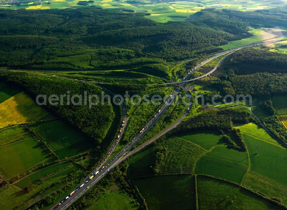 Eisingen from the bird's eye view: Motorway triangle lanes of the BAB A 3 and BAB 81 in Eisingen in the state Bavaria, Germany