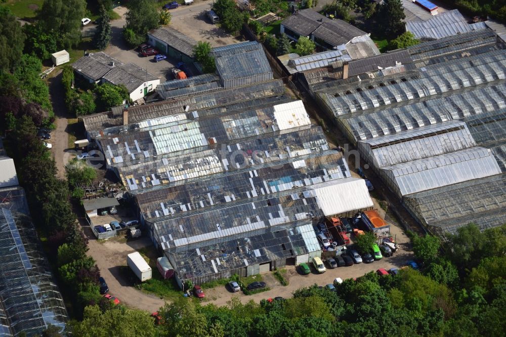 Großziethen from the bird's eye view: Car parts and second hand stock in the greenhouse facility in the district Grossziethen of Schoenefeld in Brandenburg. Users of the halls include gardening and horticulture Meyflower Gunter Kuehne