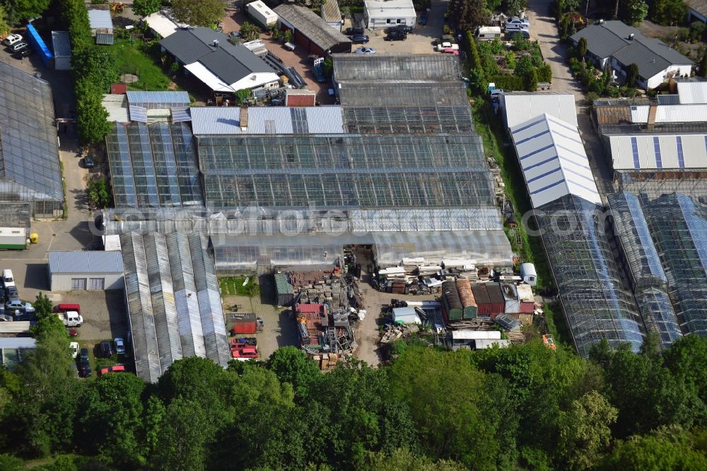 Aerial image Großziethen - Car parts and second hand stock in the greenhouse facility in the district Grossziethen of Schoenefeld in Brandenburg. Users of the halls include gardening and horticulture Meyflower Gunter Kuehne
