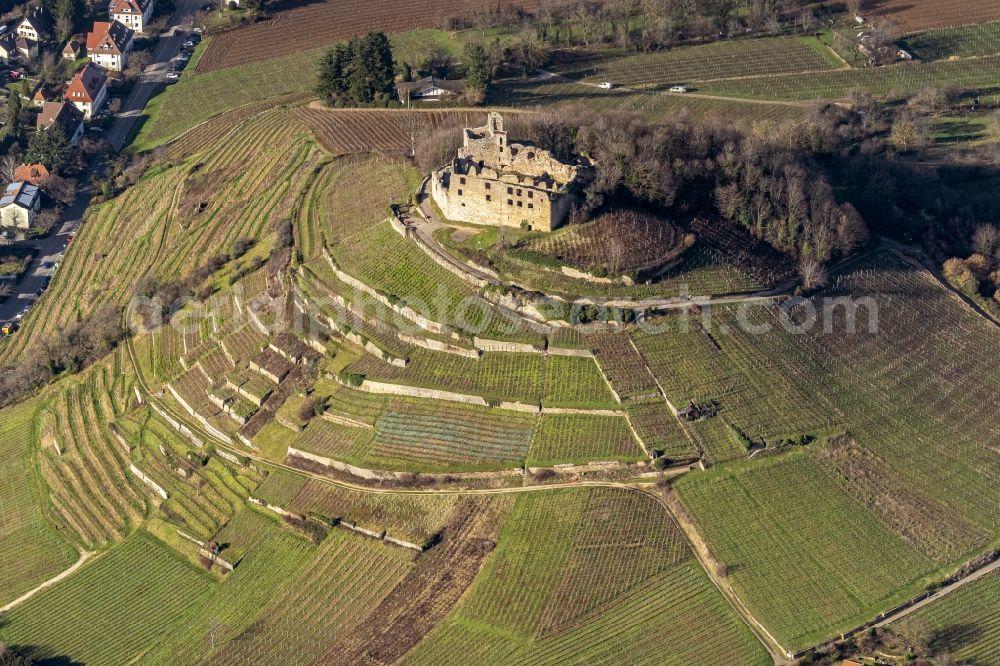Aerial image Staufen im Breisgau - Autumn in the vineyard at the castle with structures of the roads to grow the vine of Baden the in Staufen in Breisgau in the state Baden-Wuerttemberg, Germany