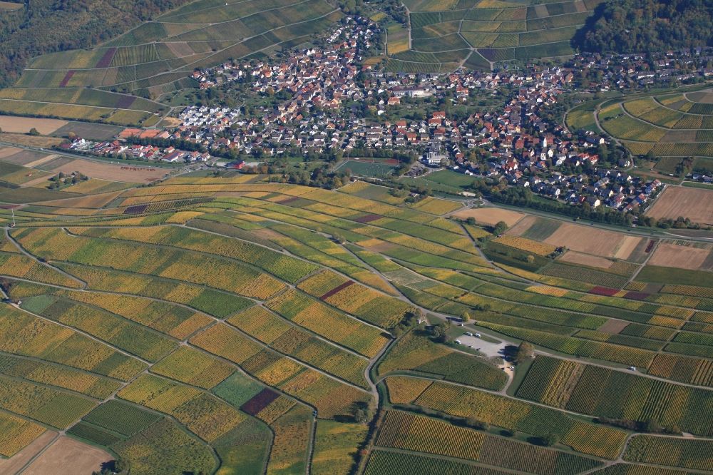 Aerial photograph Pfaffenweiler - Autumn in the vineyard Batzenberg with structures of the roads to grow the vine of Baden the in Pfaffenweiler in the state Baden-Wuerttemberg, Germany