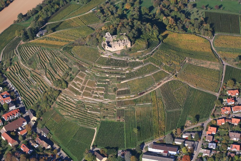 Staufen im Breisgau from above - Autumn in the vineyard at the castle with structures of the roads to grow the vine of Baden the in Staufen in Breisgau in the state Baden-Wuerttemberg, Germany