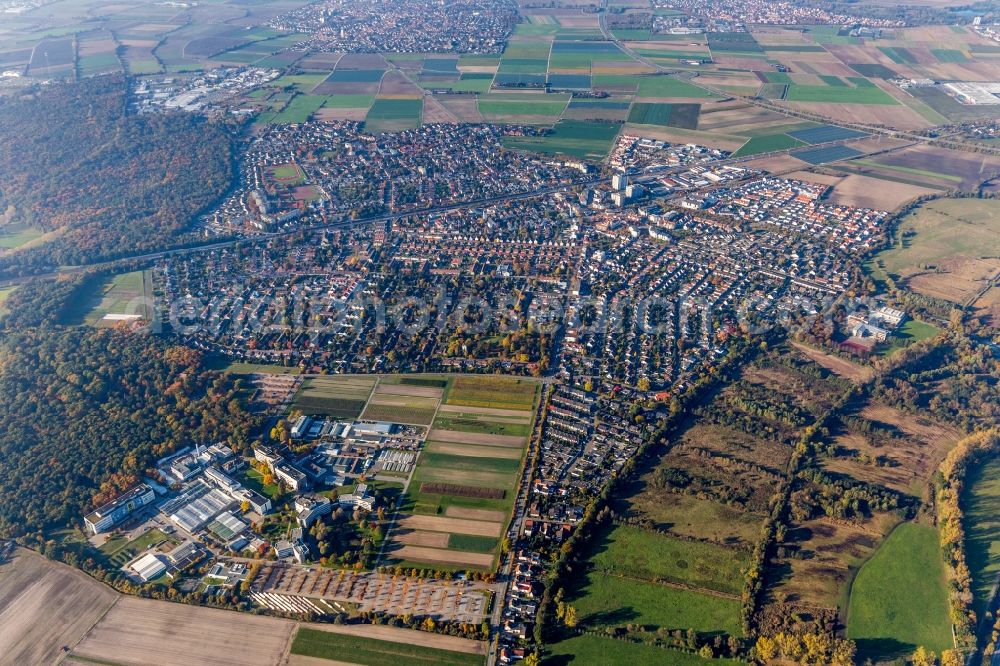 Aerial photograph Limburgerhof - BASF Agricultural Center before Town View of the streets and houses of the residential areas in Limburgerhof in the state Rhineland-Palatinate, Germany