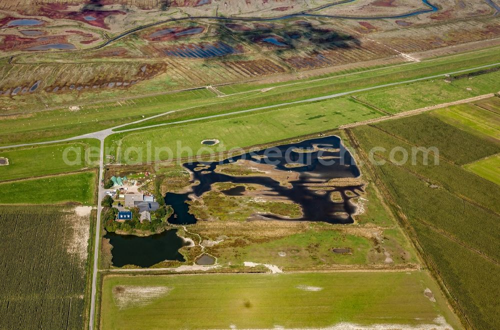 Aerial photograph Midlum - Farm and holiday farm in Midlum on the island of Foehr in North Friesland in the state Schleswig-Holstein, Germany