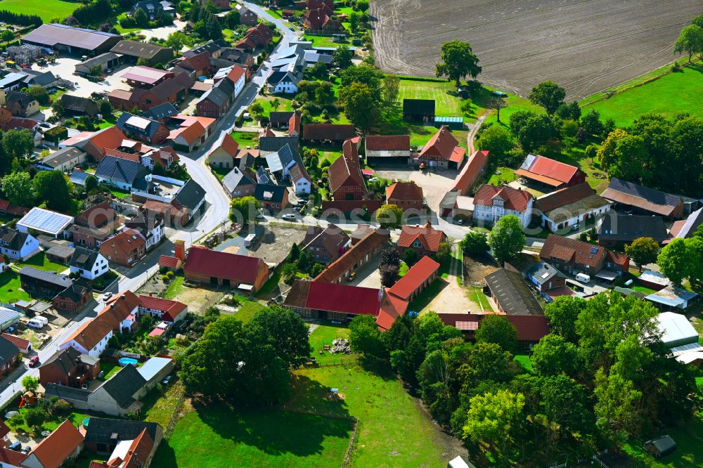Bergfeld from above - Farms with outbuildings on the edge of agricultural fields on the road Ackerende in Bergfeld in the state Lower Saxony, Germany