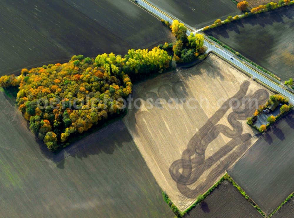 Senden from the bird's eye view: View of tree and field structures near Senden in the state Bavaria